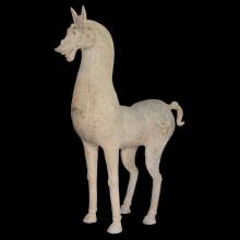 Tr�s grand cheval � l'arr�t, sans terrasse